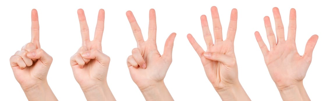 Hand gestures counting from 1 to 5. Counting hands on the finger of one to five isolated on white background.