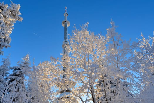 snowy winter landscape frosty cold