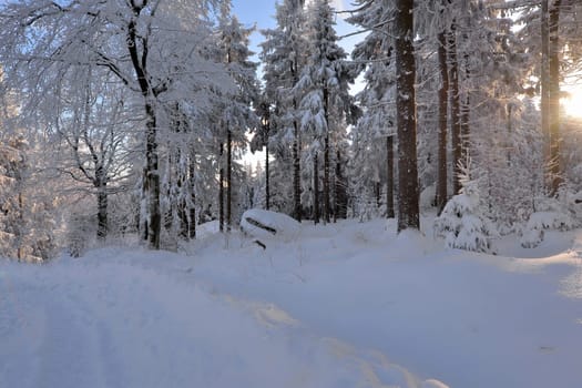 snowy winter landscape frosty cold