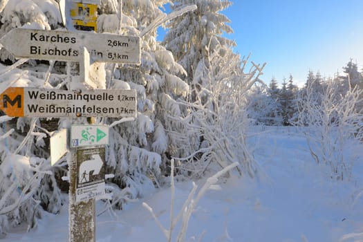 snowy winter landscape frosty cold