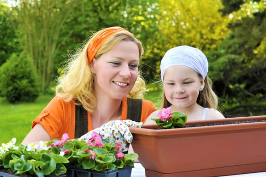 Young woman and little girl gardening in spring, planting flower seedlings, smiling mother and her happy child working in garden