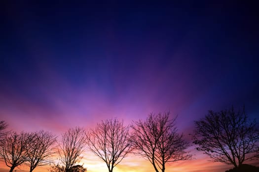Stunning winter sunset with bare tree silhouettes. Vibrant skies and clouds filled with orange, red and purple colors making the sky look like its on fire