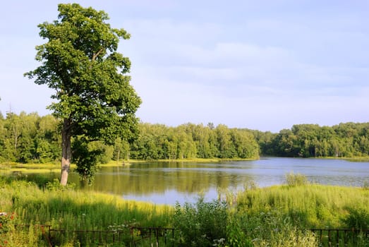 Pure lake in a taiga of the Far East