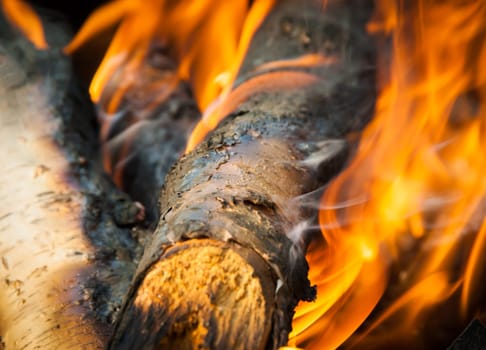 Burning fire wood and ember