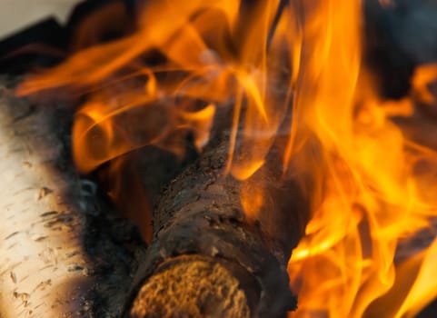 Burning fire wood and ember
