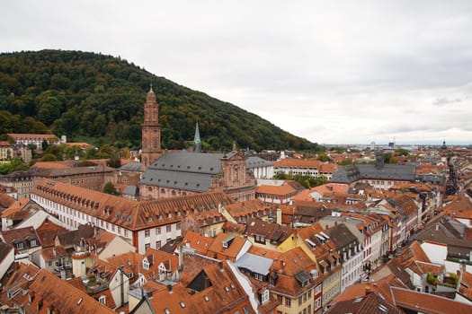 View of the university and the rooftops of Heidelberg