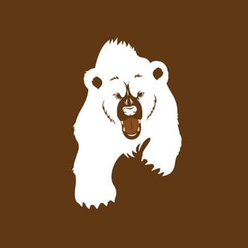 Angry grizzly bear, walking showing fangs and claws