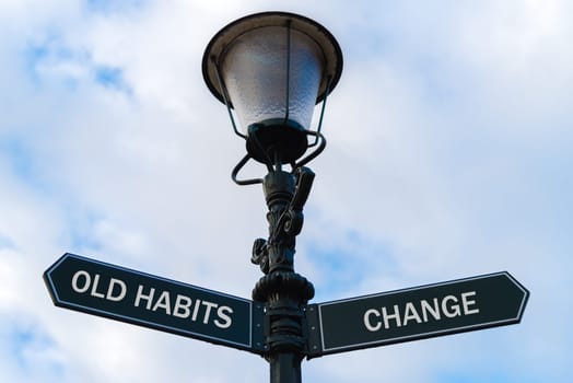 Street lighting pole with two opposite directional arrows over blue cloudy background. Old Habits versus Change concept.