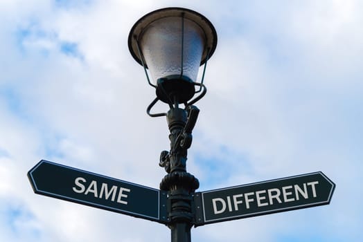 Street lighting pole with two opposite directional arrows over blue cloudy background. Same versus Different concept.