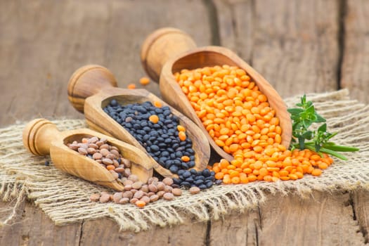 wooden scoops with lentils
