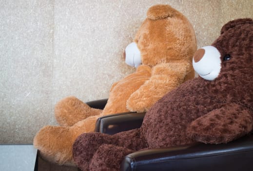 Twin bears on black sofa, stock photo