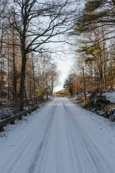 one road in sweden with snow on a sunny day