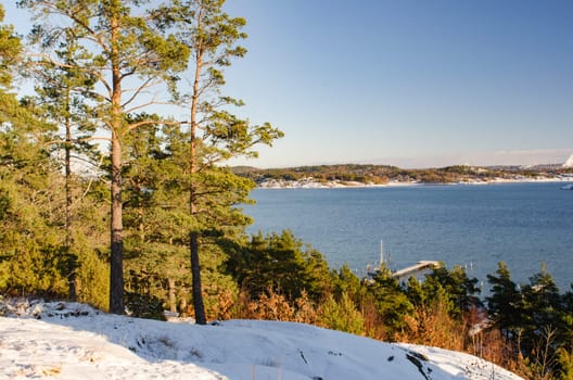 one cold winterday on swedish westcoast blue sky and very sunny