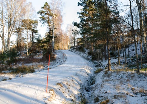 one road in sweden with snow on a sunny day