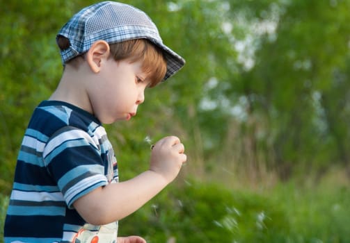 The little boy in a cap blows on a dandelion.
