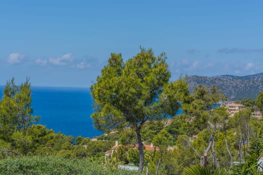 Panorama of the bay Paguera photographed from the mountain in Costa de la Calma..