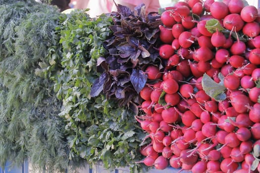 Image of background fresh radish and foliage