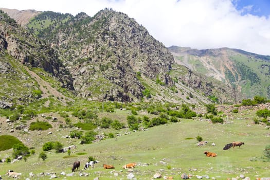 Photo of landscape with Russian Caucasus rockies