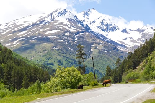 Landscape of mountains Caucasus region in Russia