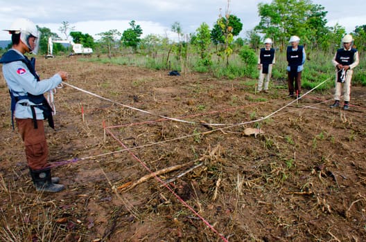 24 June 2016 - Siem Reap, Cambodia: Trained African rats ('HeroRats') are deployed in Cambodia to detect landmines and other unexploded ordnance
