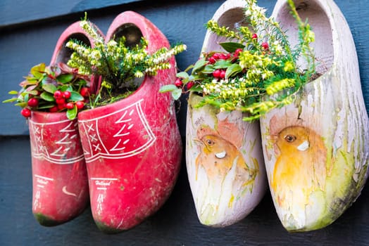Zaanse Schans, Netherlands - January 10, 2017: Old traditional handmade Dutch wooden clogs with blooming flowers in Zaanse Schans village near Amsterdam, Netherlands.