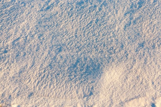 the surface of the snow in the agricultural field. The photo was taken close up in the winter season. Small depth of field. On snow visible irregularities on a large wind
