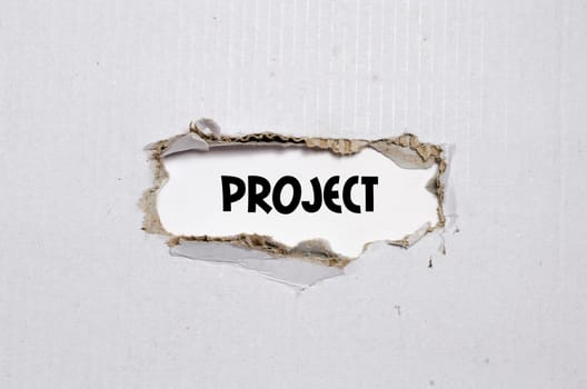 The word project appearing behind torn paper