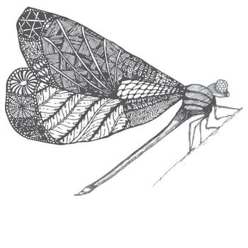 Dragonflie. Lovely hand drawn graphic grayscale illustration