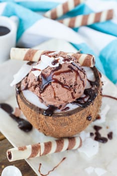 Chocolate ice cream in coconut with chocolate sauce