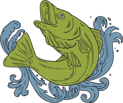 Drawing sketch style illustration of a rockfish swooping up in turbulent waters set on isolated background viewed from the side.