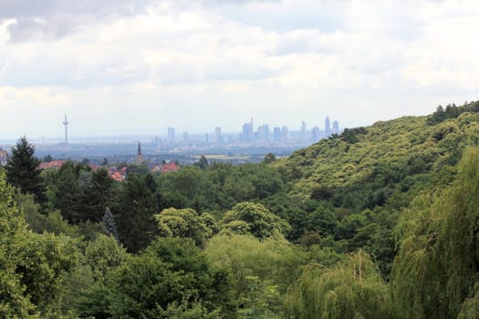 Skyline of Frankfurt a.M. behind a small forest.