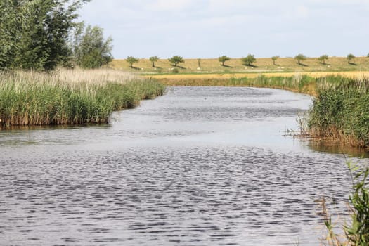 a drainage canal in the Netherlands.