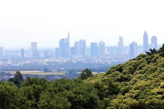 Skyline of Frankfurt a.M. behind a small forest.