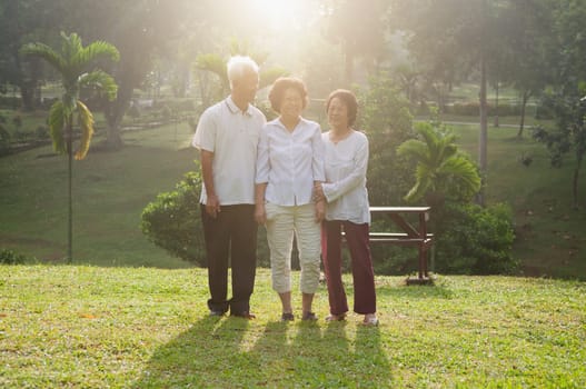 Group portrait of healthy and happy Asian seniors retiree walking at outdoor nature park, in morning beautiful sunlight at background.