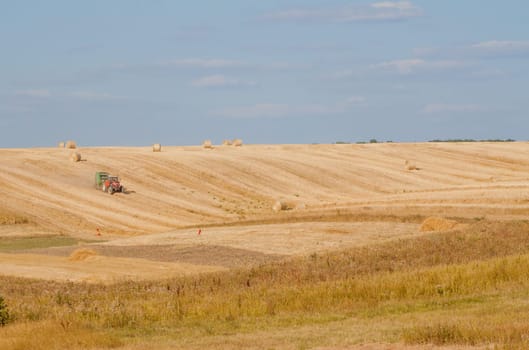 Tractor collecting straw can be used as background