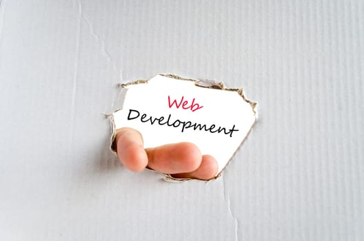 Development text concept isolated over white background