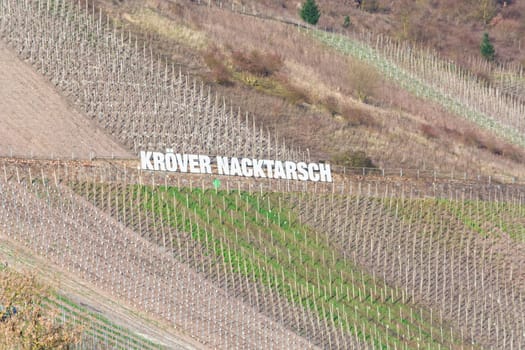 Traben-Trarbach ,Germany - March 26,2016:. Advertising board in the vineyards with the inscription Kröver Nacktarsch. German wine-growing region on the Moselle near Traben-Trarbach,Rhineland-Palatinate,Germany,Europe..