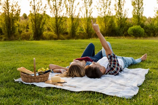 Shot of a happy couple enjoying a day in the park and making a toast