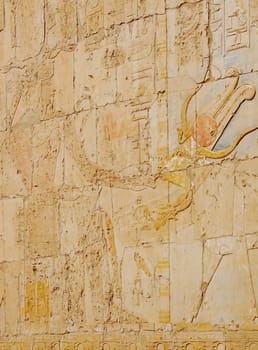 Ancient Egyptian relief on wall in Hatshepsut temple, Egypt