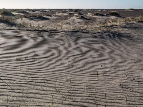 view of textured beach sand on a dune as the wind blows the sand over the edge of the dune.