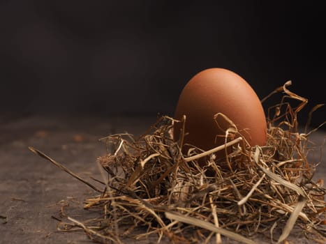 Organic brown egg in a nest on a wooden background