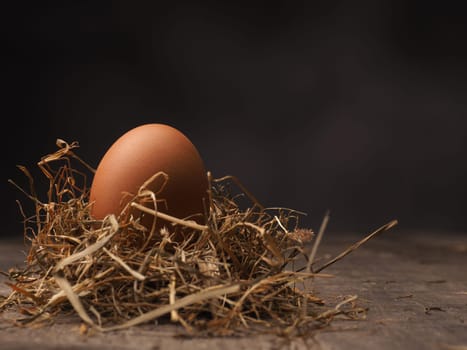 Organic brown egg in a nest on a wooden background