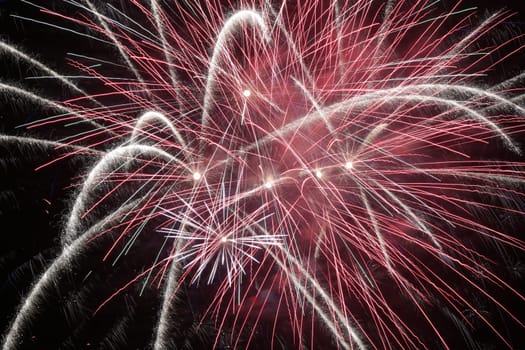 Colorful fireworks explosion in a dark night