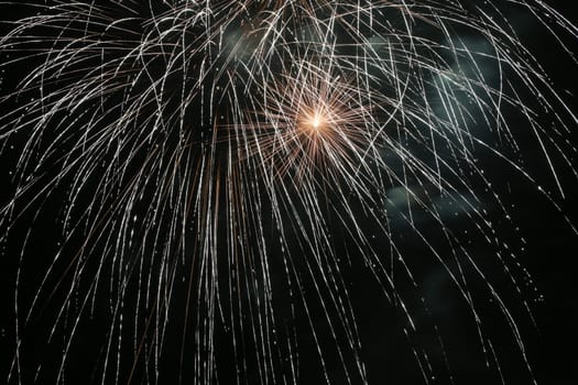 Colorful fireworks explosion in a dark night