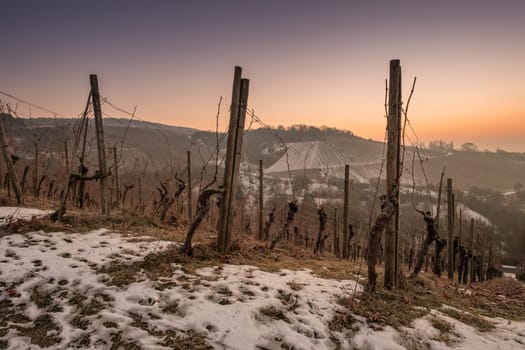 Twilight in the morning in the vineyard with snow in winter