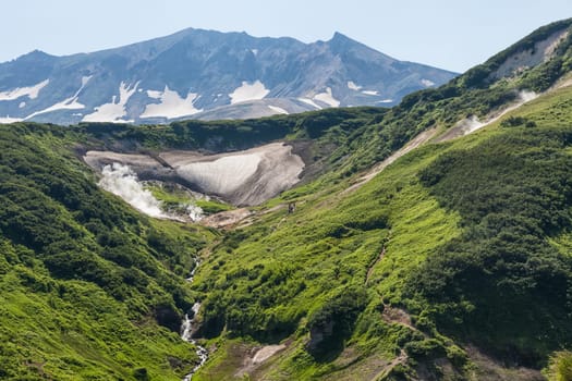 Flora of Kamchatka. Forests and fields. Nature of Kamchatka. Landscapes and magnificent views of the Kamchatka Peninsula.