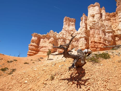 The Bryce Canyon National Park, Utah, United States