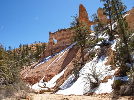The Bryce Canyon National Park, Utah, United States