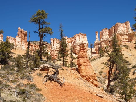 The Bryce Canyon National Park, Utah, United States