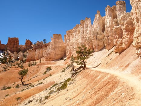 The Bryce Canyon National Park, Utah, United States